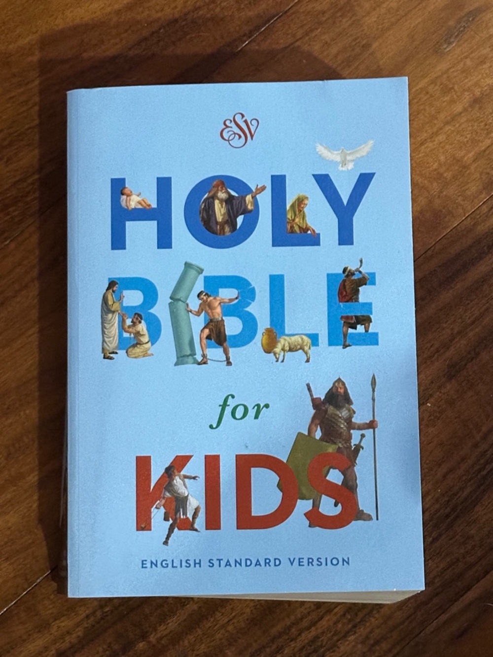 ESV Holy Bible for Kids Economy Paperback English Standard Version Illustrations
